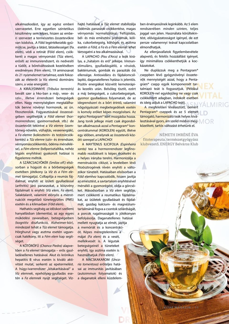 bőrelváltozások kezelésében eredményes (Fém elem), 19 aminosavat és 21 nyomelemet tartalmaz, ezek fokozzák az életerőt (a Víz elemű domináns szerv, a vese energiáit).