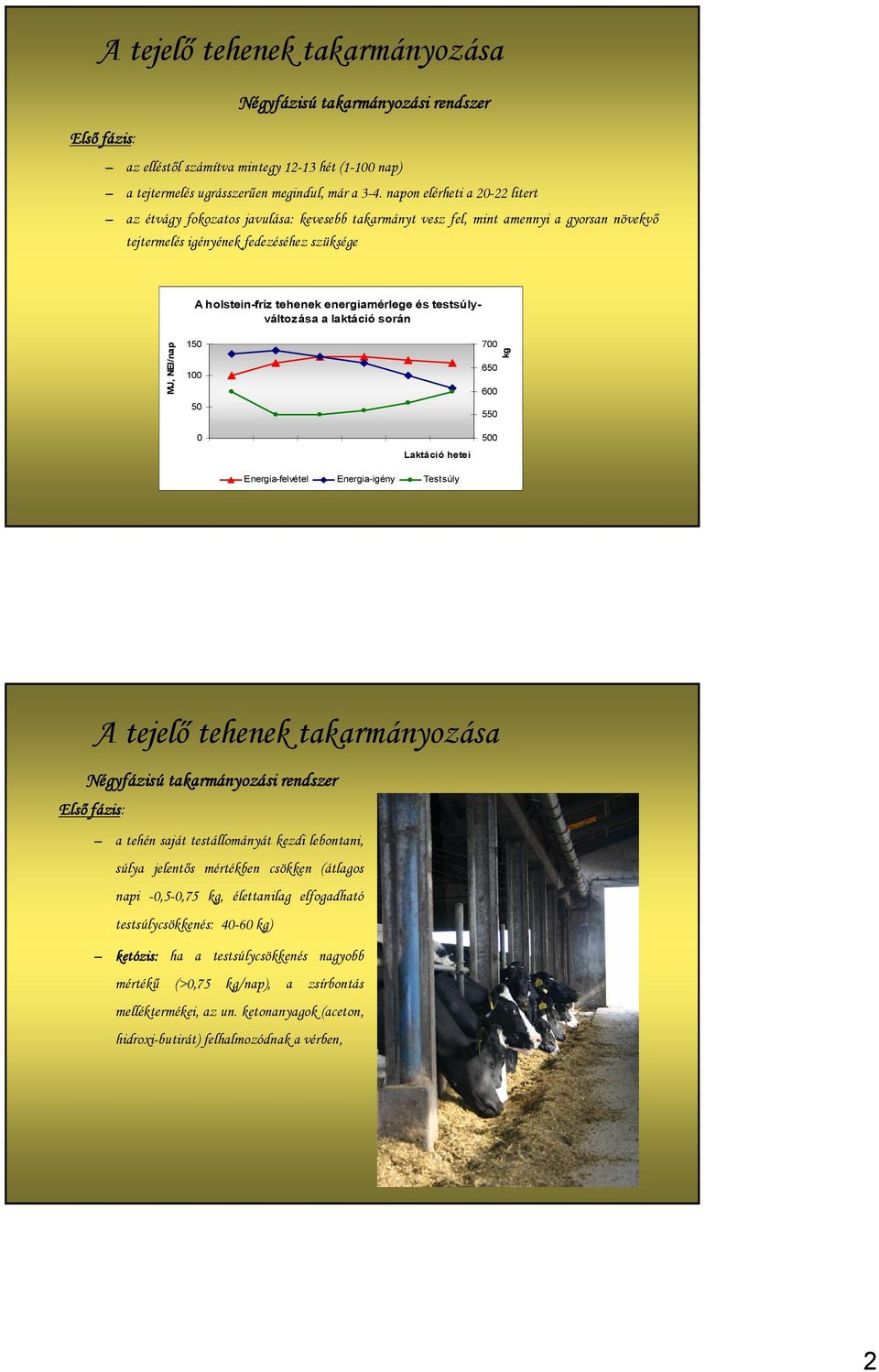 energiamérlege és testsúlyváltozása a laktáció során MJ, NEl/nap 150 100 50 700 650 600 550 kg 0 Laktáció hetei Energia-felvétel Energia-igény Testsúly 500 Négyfázisú takarmányozási rendszer a tehén