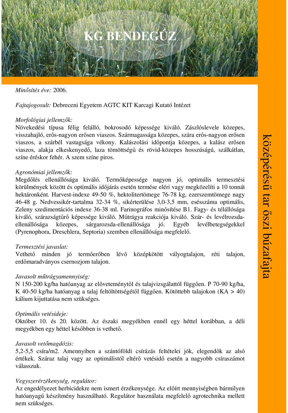 Kalászolási idıpontja közepes, a kalász erısen viaszos, alakja elkeskenyedı, laza tömöttségő és rövid-közepes hosszúságú, szálkátlan, színe éréskor fehér. A szem színe piros.