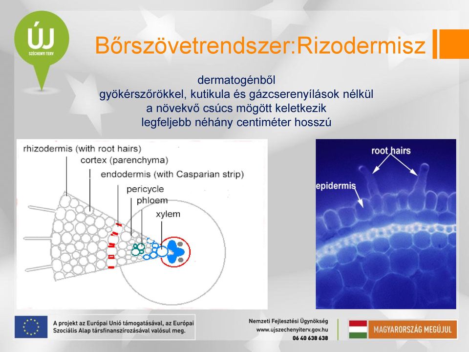 és gázcserenyílások nélkül a növekvő