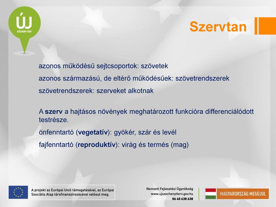 hajtásos növények meghatározott funkcióra differenciálódott testrésze.