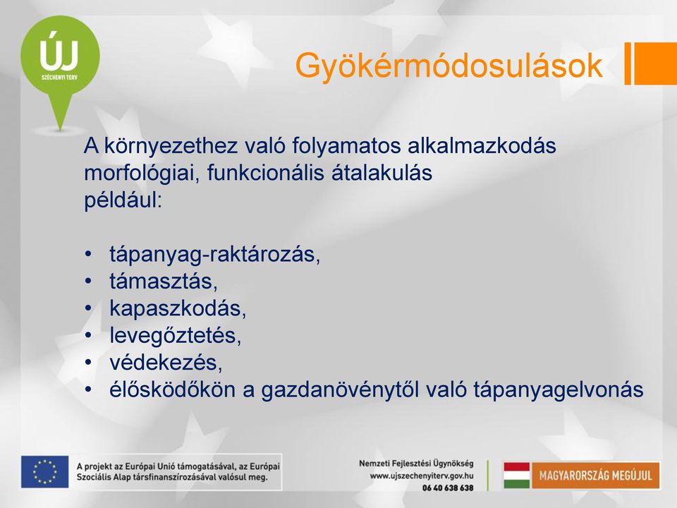 például: tápanyag-raktározás, támasztás, kapaszkodás,