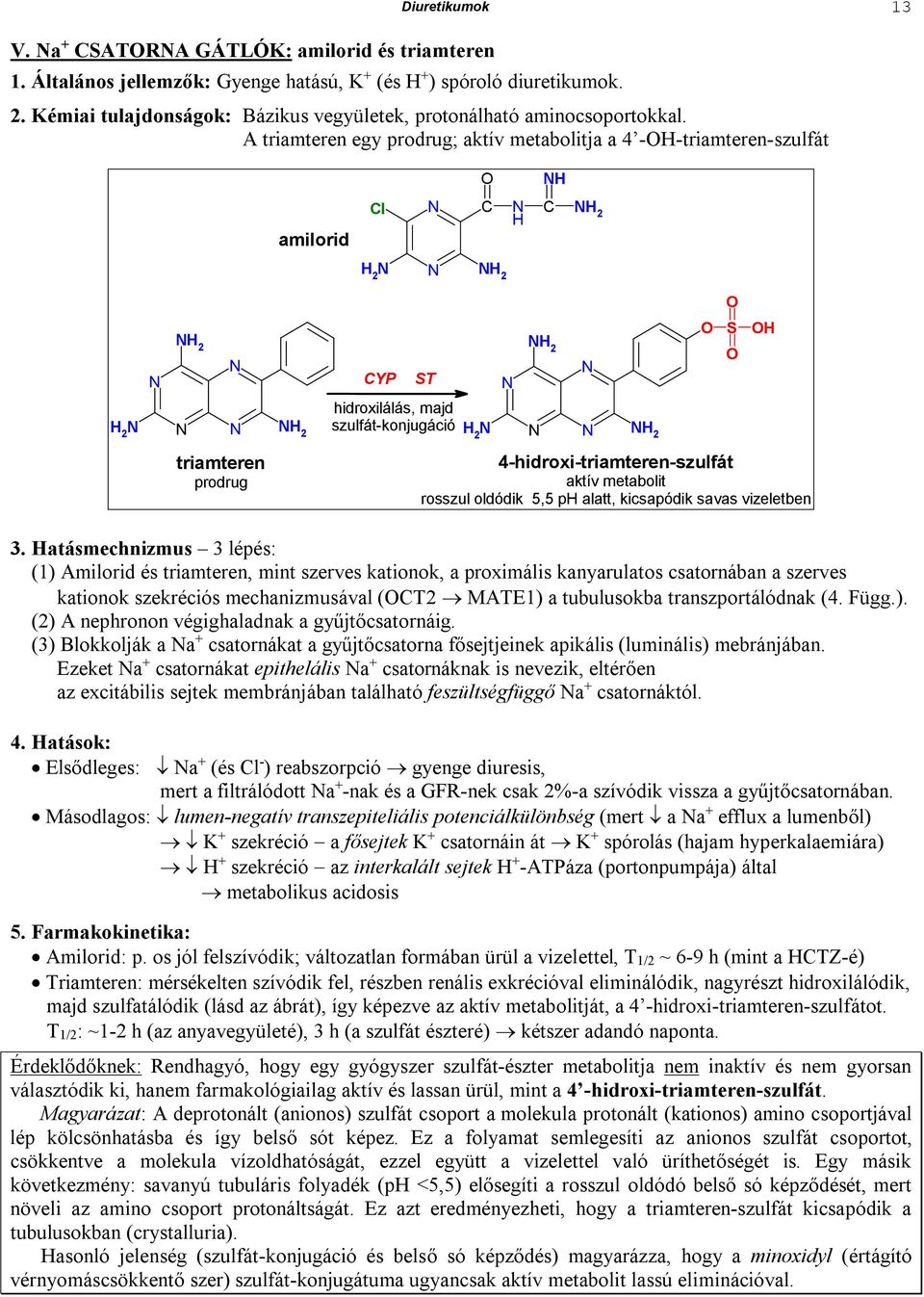 A triamteren egy prodrug; aktív metabolitja a 4 --triamteren-szulfát amilorid C C 2 2 2 2 2 hidroxilálás, majd 2 2 szulfát-konjugáció 2 2 triamteren prodrug CYP T 4-hidroxi-triamteren-szulfát aktív