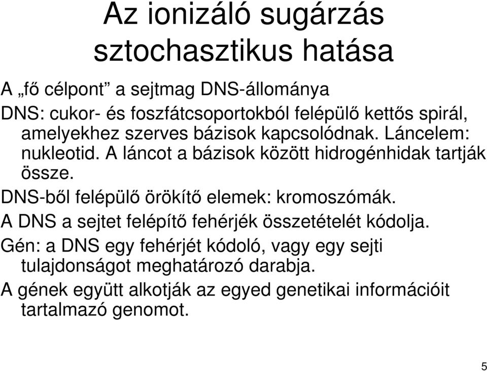 A láncot a bázisok között hidrogénhidak tartják össze. DNS-bıl felépülı örökítı elemek: kromoszómák.