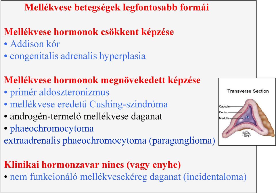 Cushing-szindróma androgén-termelő mellékvese daganat phaeochromocytoma extraadrenalis phaeochromocytoma