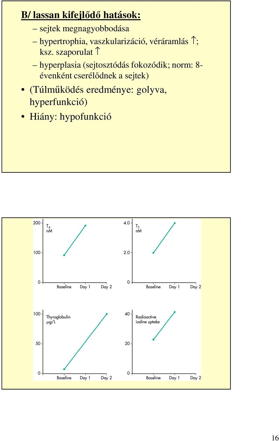 szaporulat hyperplasia (sejtosztódás fokozódik; norm: 8-