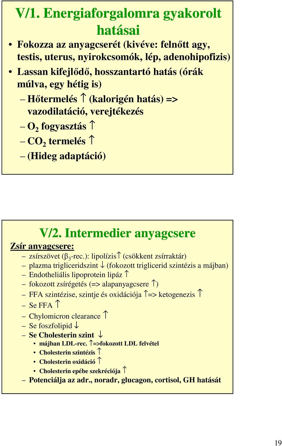Intermedier anyagcsere Zsír anyagcsere: zsírszövet (β 3 -rec.