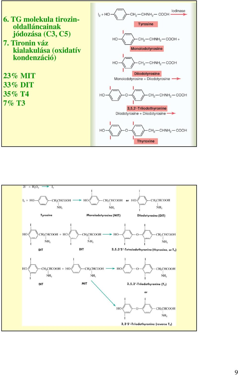 (C3, C5) 7.