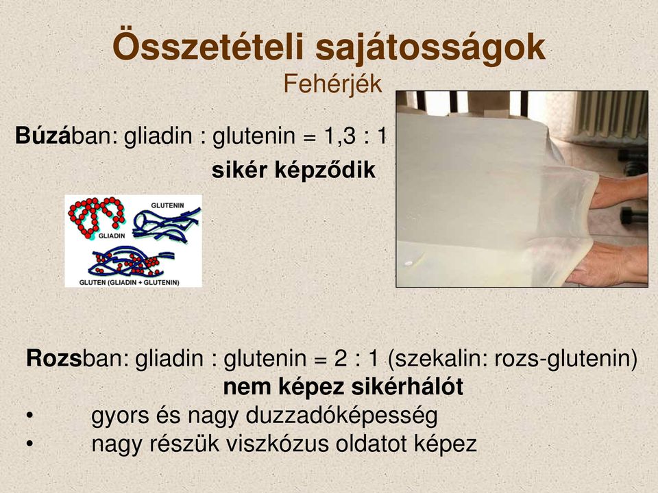 glutenin = 2 : 1 (szekalin: rozs-glutenin) nem képez