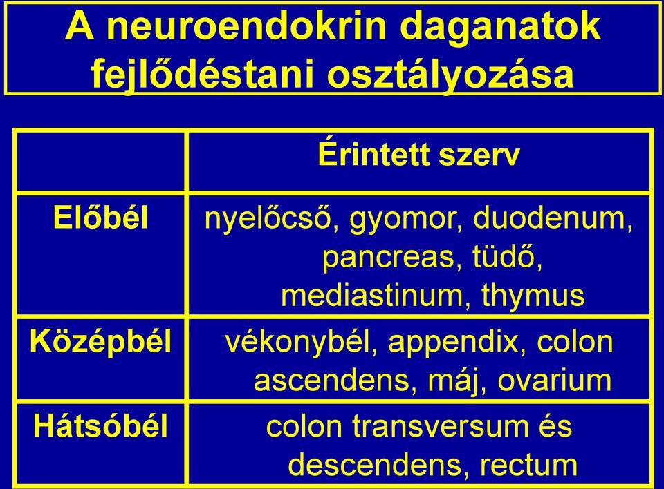 pancreas, tüdő, mediastinum, thymus vékonybél, appendix,