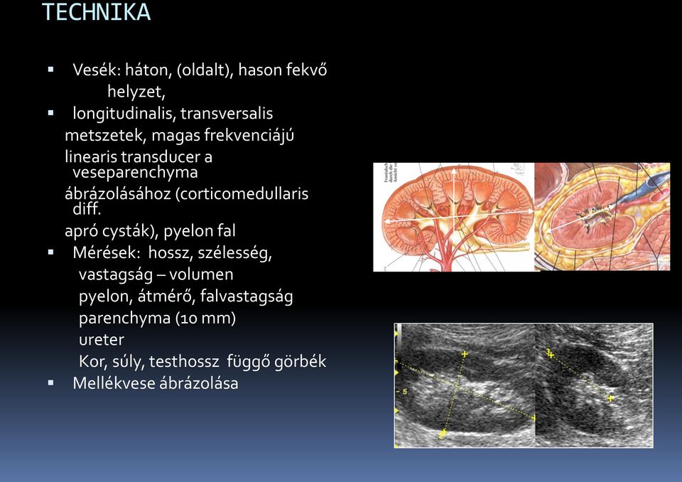 (corticomedullaris diff.