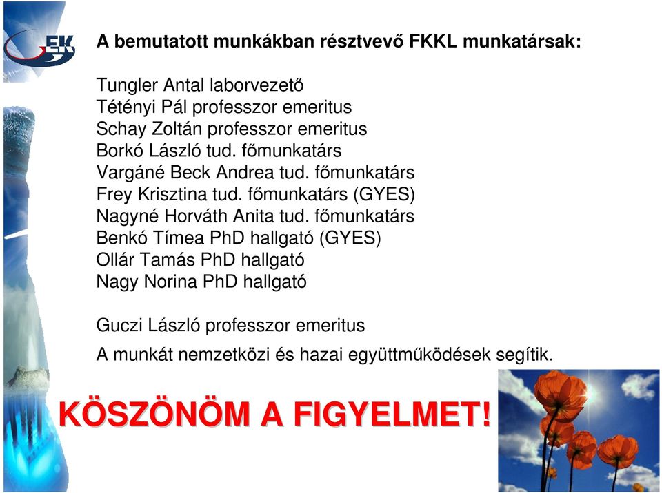 főmunkatárs (GYES) Nagyné Horváth Anita tud.