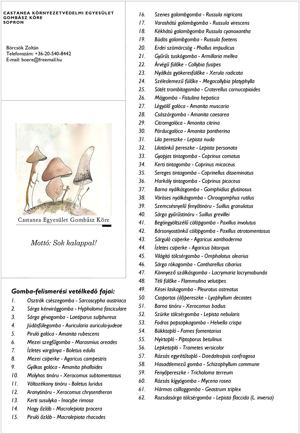 Júdásfülegomba - Auricularia auricula-judeae 5. Piruló galóca - Amanita rubescens 6. Mezei szegfűgomba - Marasmius oreades 7. Ízletes vargánya - Boletus edulis 8.
