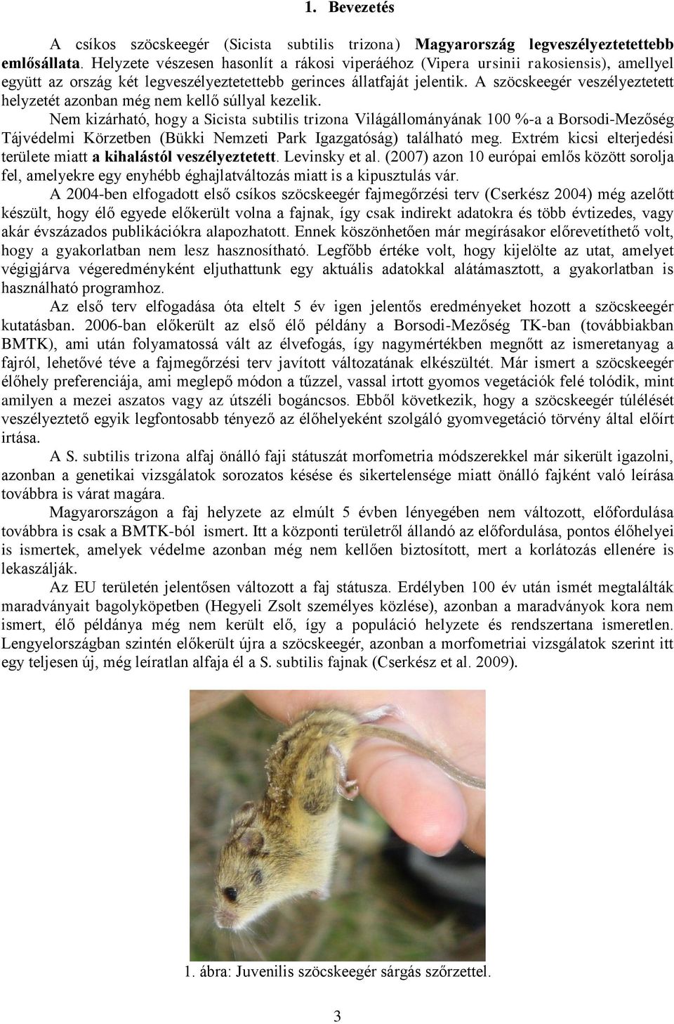 A szöcskeegér veszélyeztetett helyzetét azonban még nem kellő súllyal kezelik.