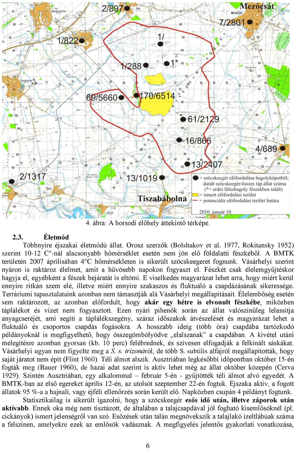Vásárhelyi szerint nyáron is raktároz élelmet, amit a hűvösebb napokon fogyaszt el. Fészkét csak élelemgyűjtéskor hagyja el, egyébként a fészek bejáratát is eltömi.