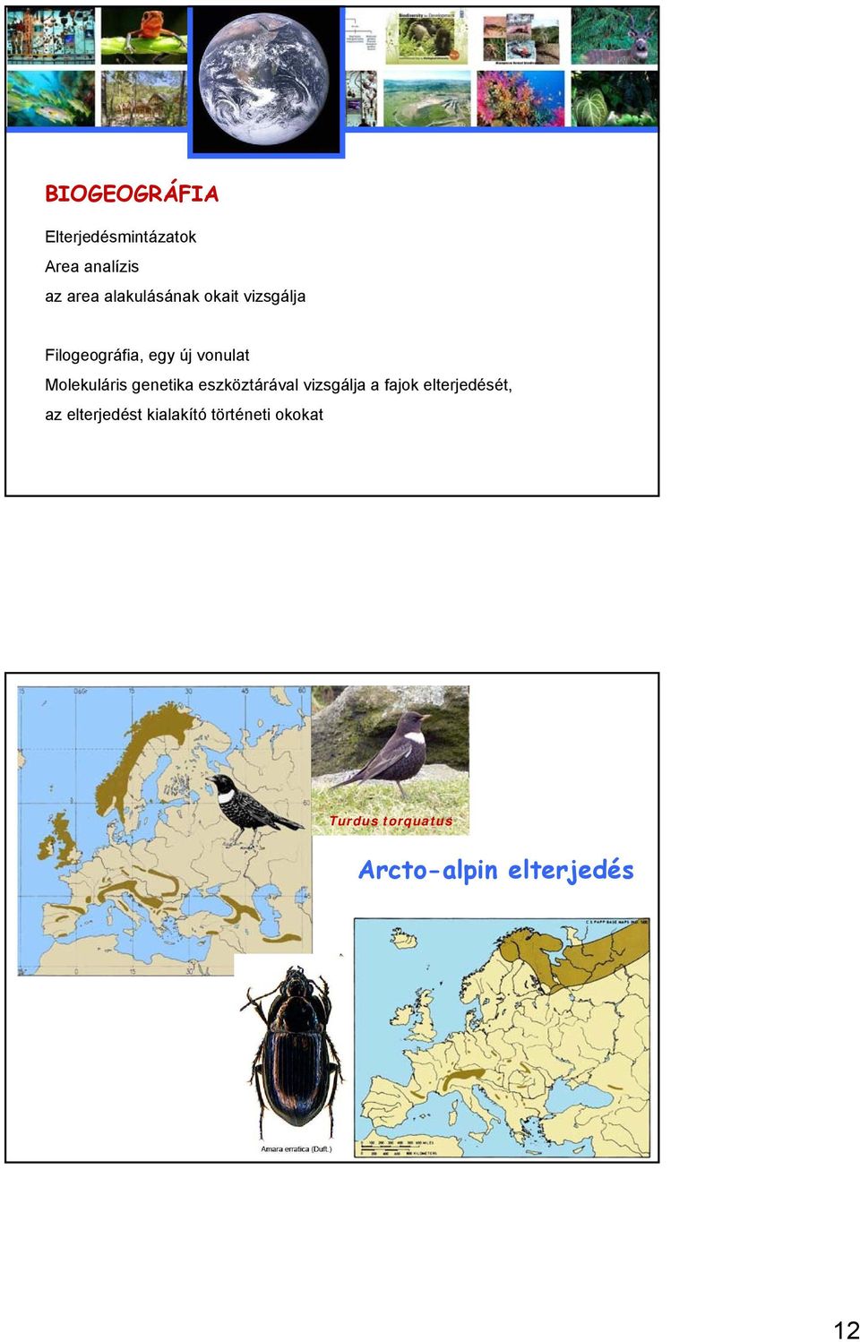 Molekuláris genetika eszköztárával vizsgálja a fajok elterjedését,