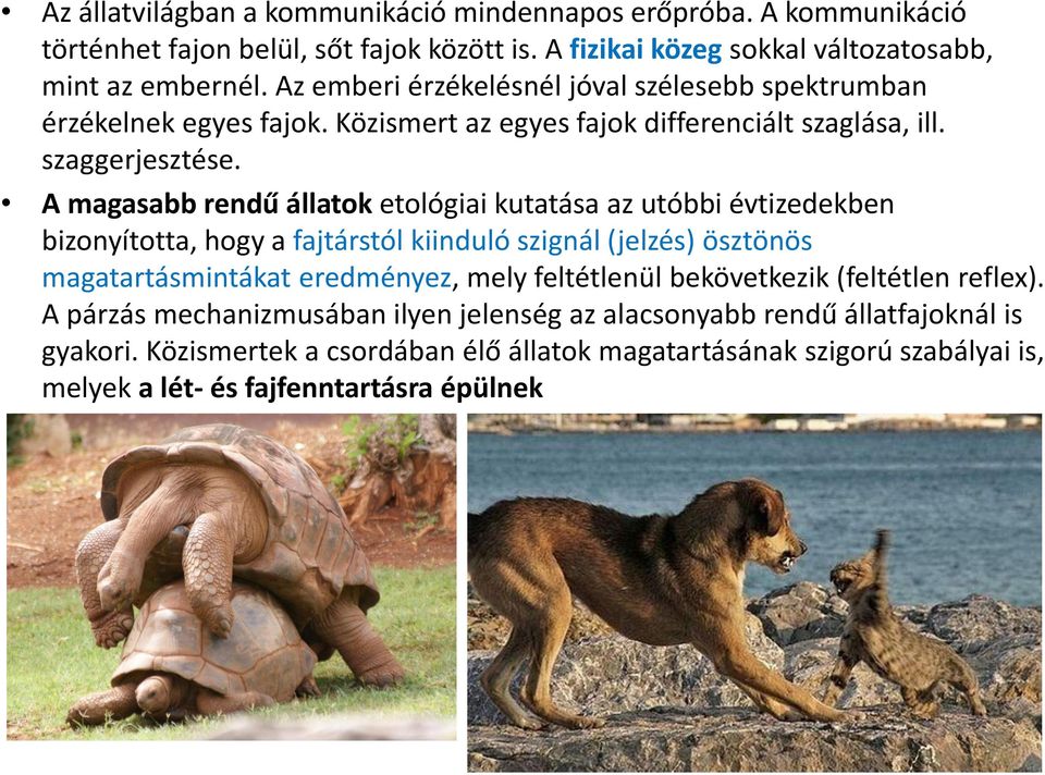 A magasabb rendű állatok etológiai kutatása az utóbbi évtizedekben bizonyította, hogy a fajtárstól kiinduló szignál (jelzés) ösztönös magatartásmintákat eredményez, mely feltétlenül