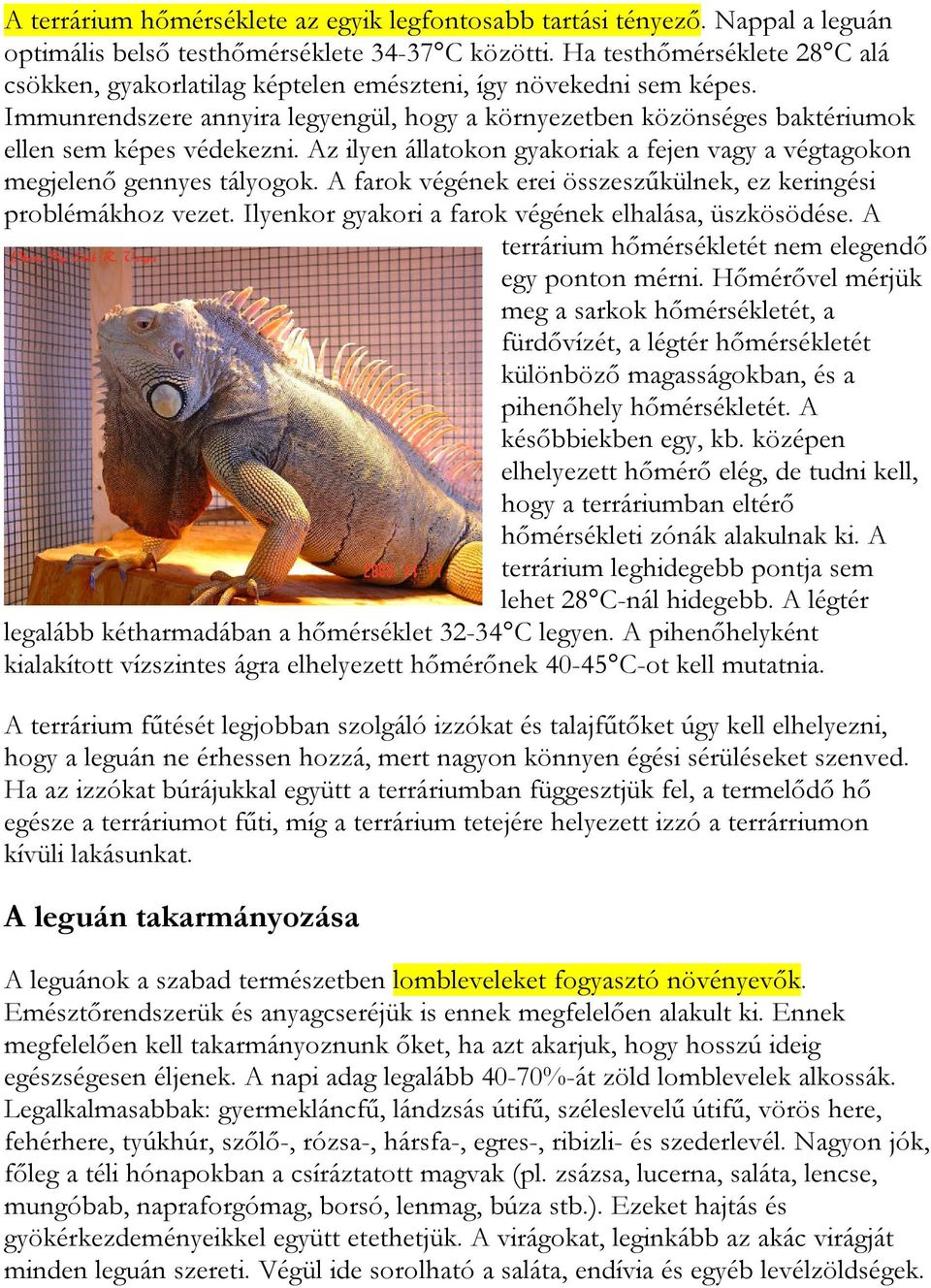 Az ilyen állatokon gyakoriak a fejen vagy a végtagokon megjelenő gennyes tályogok. A farok végének erei összeszűkülnek, ez keringési problémákhoz vezet.