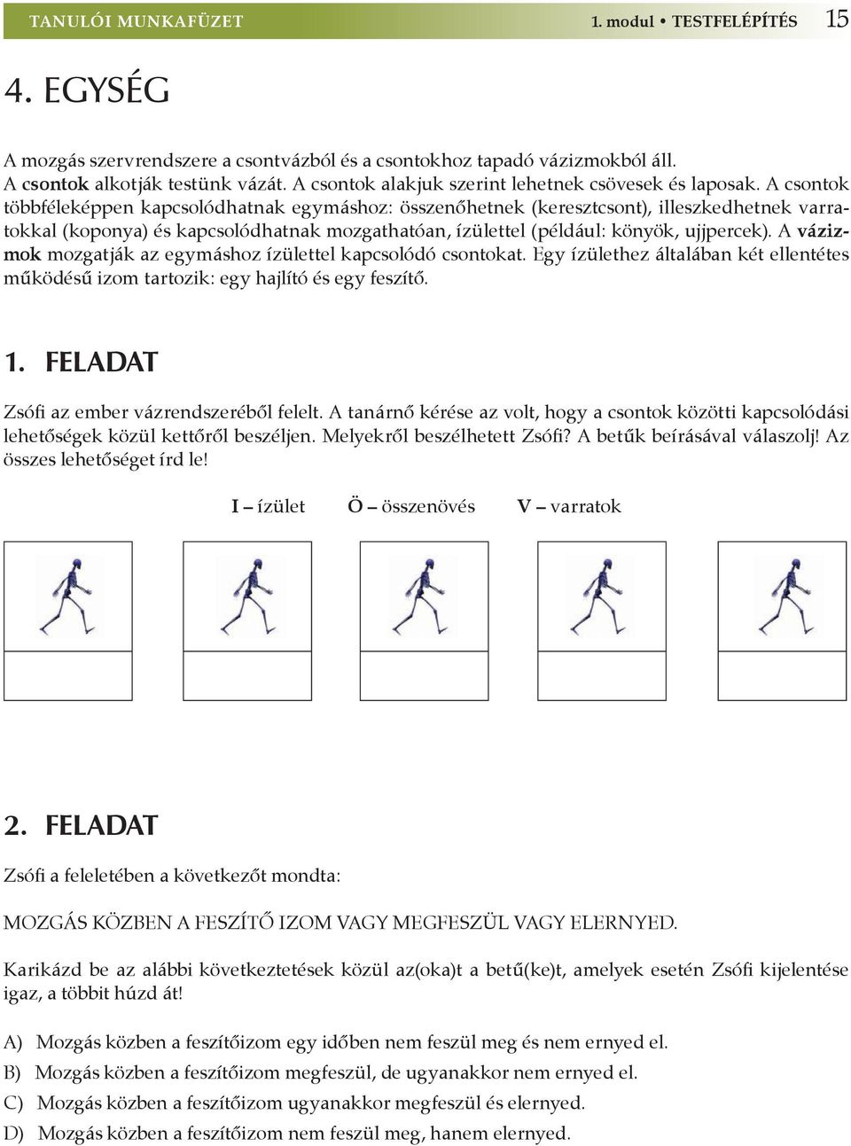 A csontok többféleképpen kapcsolódhatnak egymáshoz: összenőhetnek (keresztcsont), illeszkedhetnek varratokkal (koponya) és kapcsolódhatnak mozgathatóan, ízülettel (például: könyök, ujjpercek).