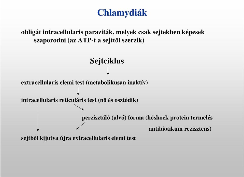 inaktív) intracellularis reticuláris test (nő és osztódik) perzisztáló (alvó) forma