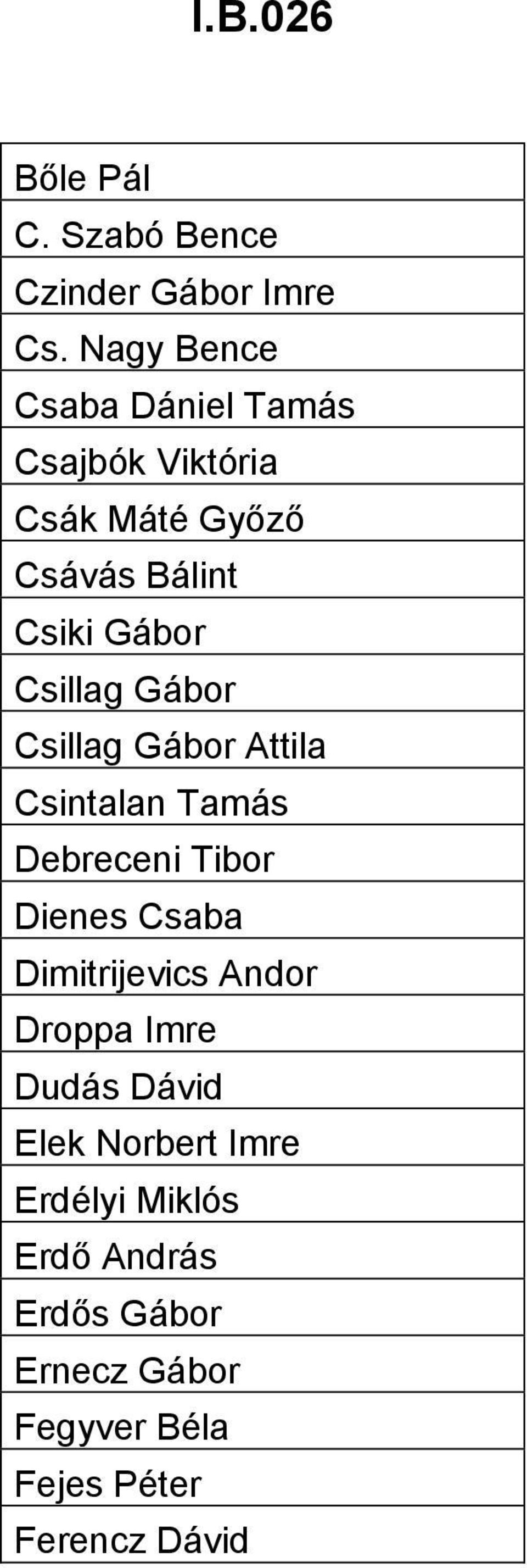 Csillag Gábor Csillag Gábor Attila Csintalan Tamás Debreceni Tibor Dienes Csaba Dimitrijevics