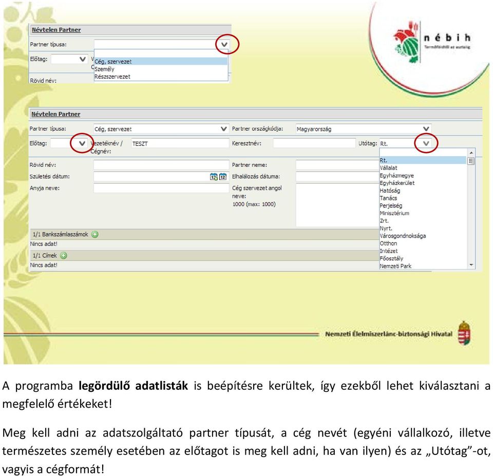 Meg kell adni az adatszolgáltató partner típusát, a cég nevét (egyéni