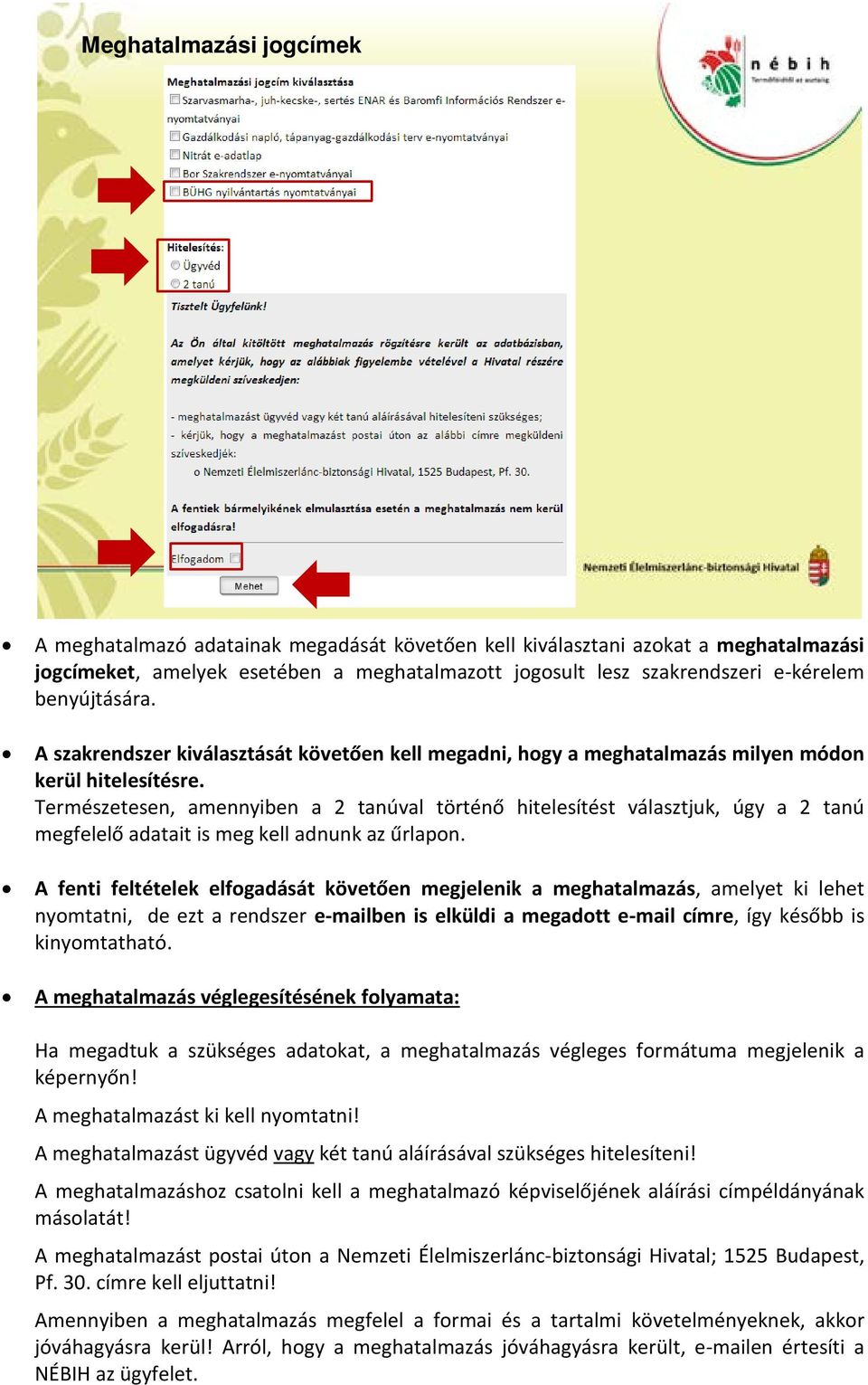 Természetesen, amennyiben a 2 tanúval történő hitelesítést választjuk, úgy a 2 tanú megfelelő adatait is meg kell adnunk az űrlapon.