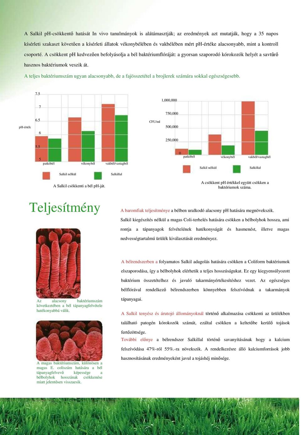 A teljes baktériumszám ugyan alacsonyabb, de a fajösszetétel a brojlerek számára sokkal egészségesebb. 7.5 1,000,000 7 750,000 ph-érték 6.5 CFU/ml 6 500,000 250,000 5.