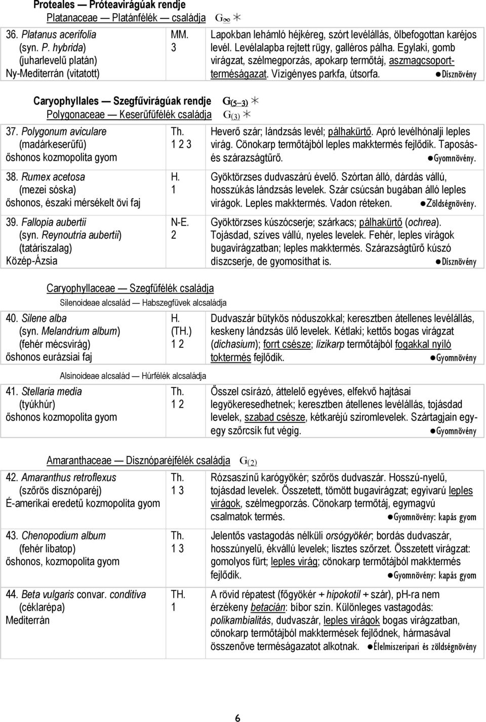 Reynoutria aubertii) (tatáriszalag) Közép-Ázsia N-E. Caryophyllaceae Szegfűfélék családja Silenoideae alcsalád Habszegfüvek alcsaládja 40. Silene alba (syn.