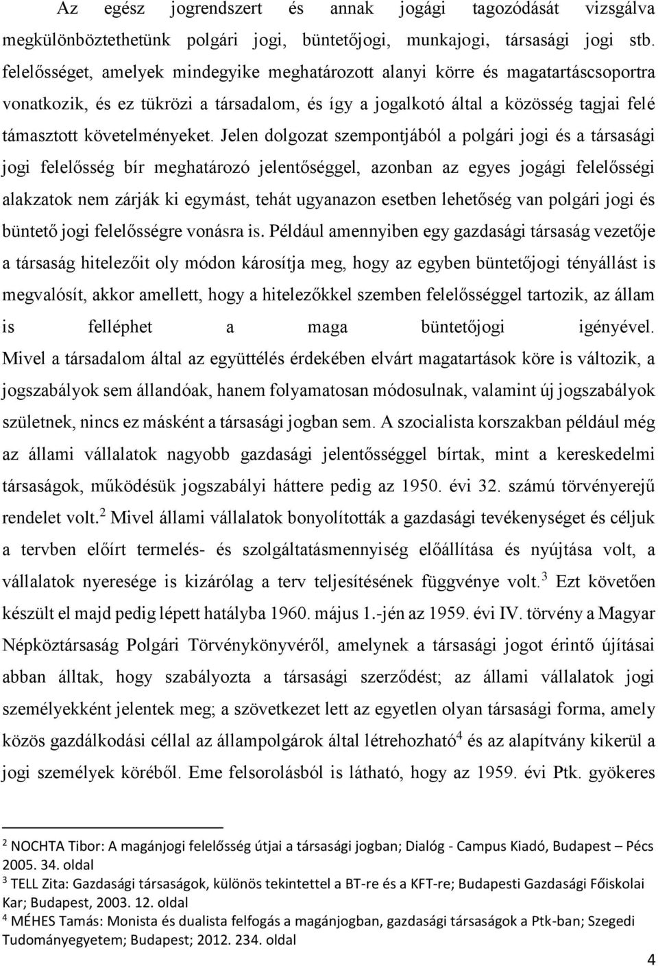 Jelen dolgozat szempontjából a polgári jogi és a társasági jogi felelősség bír meghatározó jelentőséggel, azonban az egyes jogági felelősségi alakzatok nem zárják ki egymást, tehát ugyanazon esetben