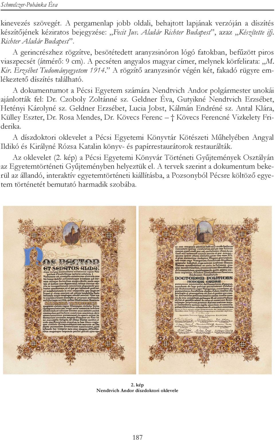 Erzsébet Tudományegyetem 1914. A rögzítő aranyzsinór végén két, fakadó rügyre emlékeztető díszítés található.