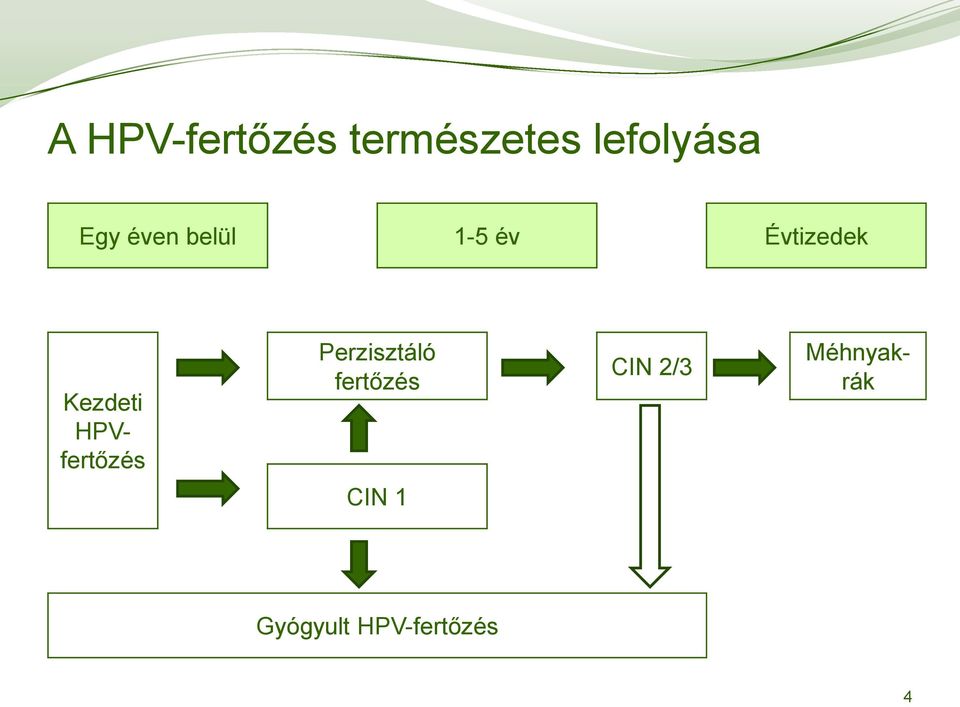 Perzisztáló fertőzés CIN 2/3 Kezdeti