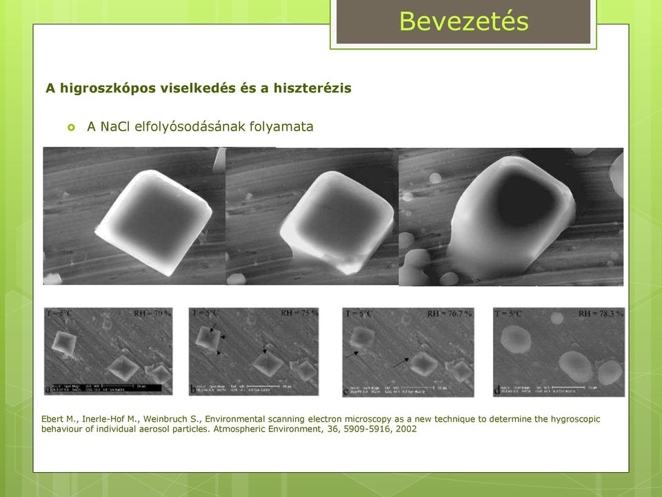 , Environmental scanning electron microscopy as a new technique to