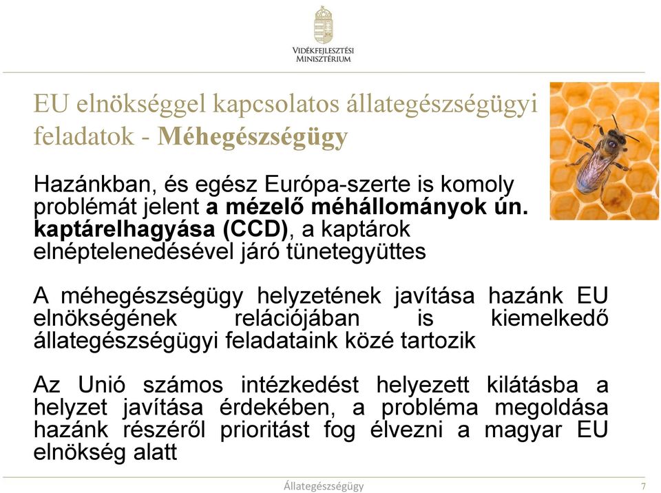 kaptárelhagyása (CCD), a kaptárok elnéptelenedésével járó tünetegyüttes A méhegészségügy helyzetének javítása hazánk EU elnökségének