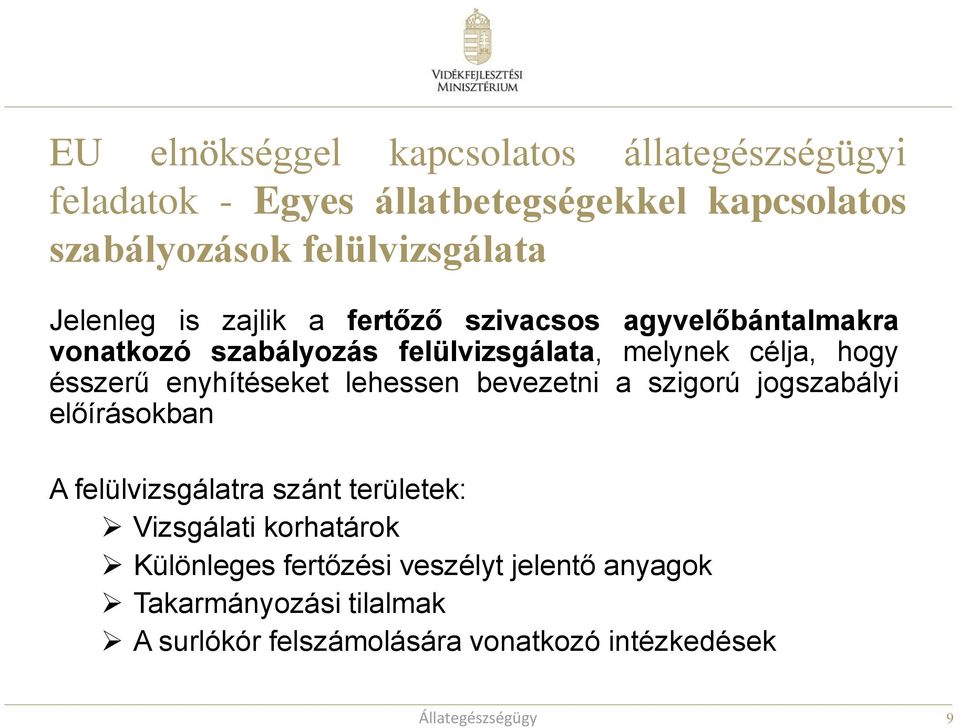 enyhítéseket lehessen bevezetni a szigorú jogszabályi előírásokban A felülvizsgálatra szánt területek: Vizsgálati korhatárok