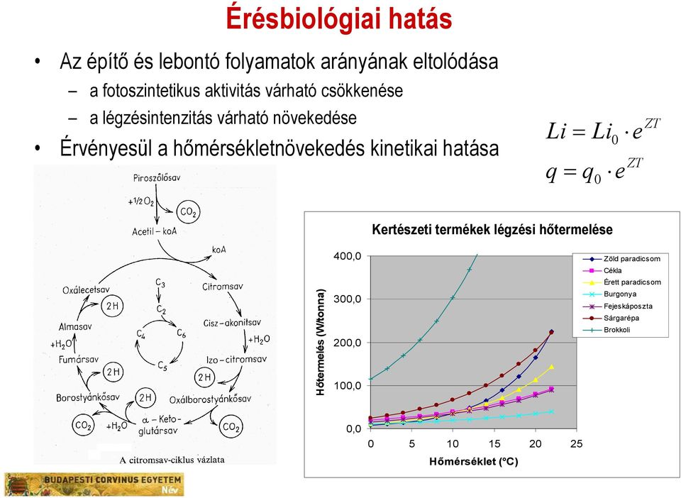 Li 0 0 e e ZT ZT Hőtermelés (W/tonna) 400,0 300,0 200,0 100,0 Kertészeti termékek légzési hőtermelése Zöld