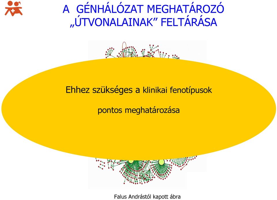 szükséges a klinikai fenotípusok