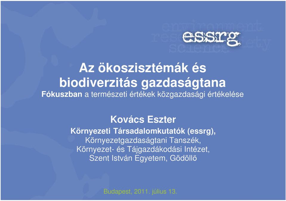 Társadalomkutatók (essrg), Környezetgazdaságtani Tanszék, Környezet-