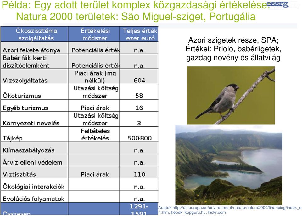 Priolo, babérligetek, gazdag növény és állatvilág Adatok:http://ec.europa.