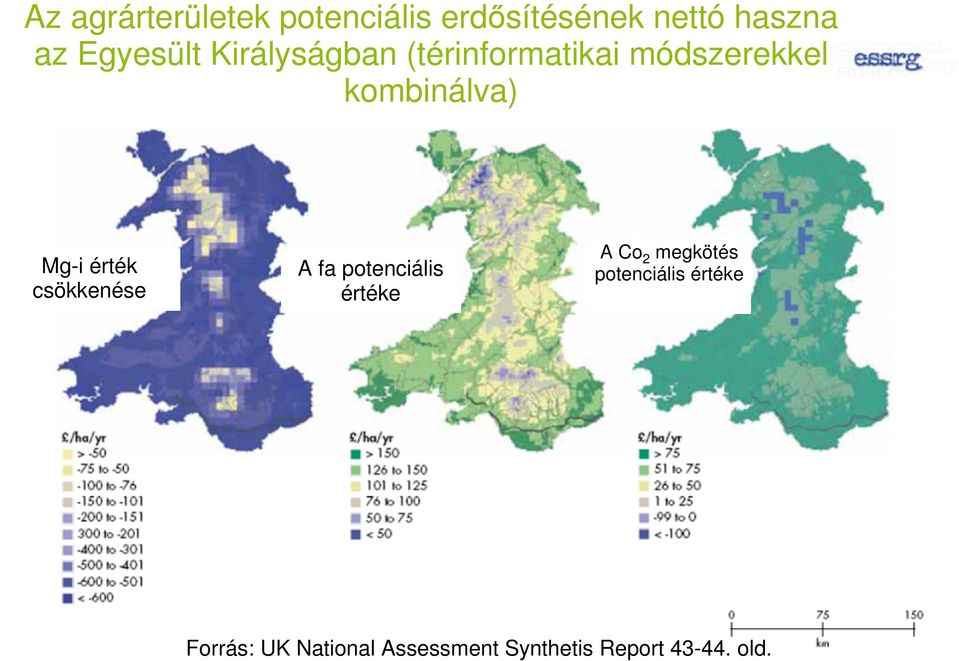 Mg-i érték csökkenése A fa potenciális értéke A Co 2 megkötés