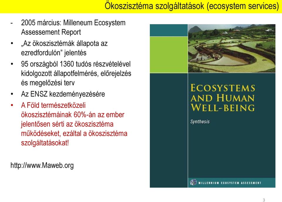 állapotfelmérés, előrejelzés és megelőzési terv Az ENSZ kezdeményezésére A Föld természetközeli