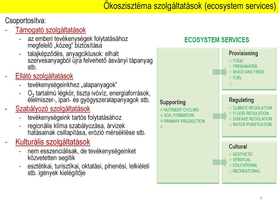 - Szabályozó szolgáltatások - tevékenységeink tartós folytatásához - regionális klíma szabályozása, árvizek hatásainak csillapítása, erózió mérséklése stb.