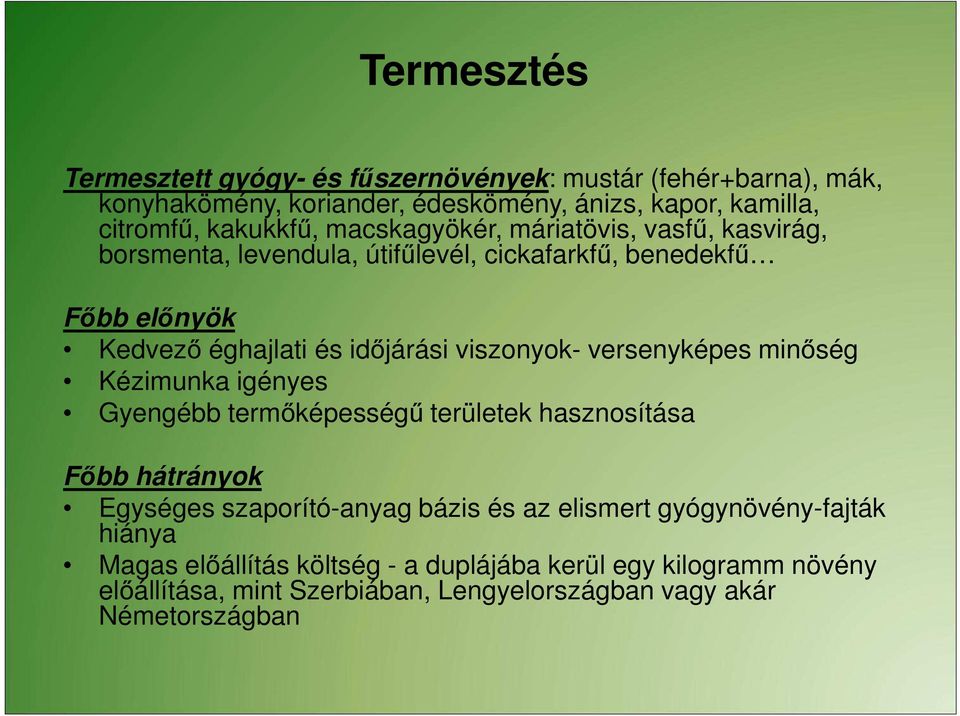 versenyképes minőség Kézimunka igényes Gyengébb termőképességű területek hasznosítása Főbb hátrányok Egységes szaporító-anyag bázis és az elismert