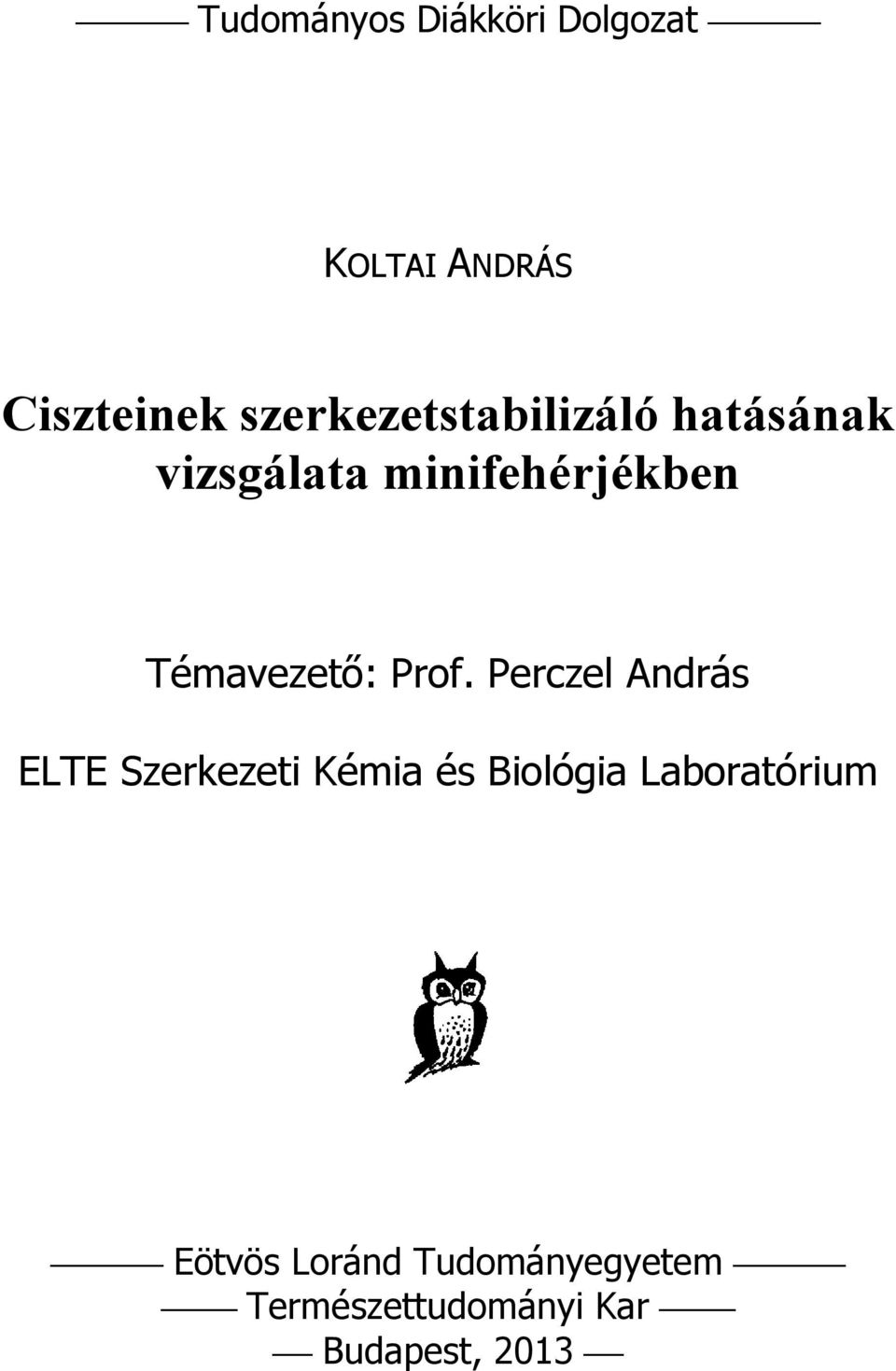 Témavezető: Prof.