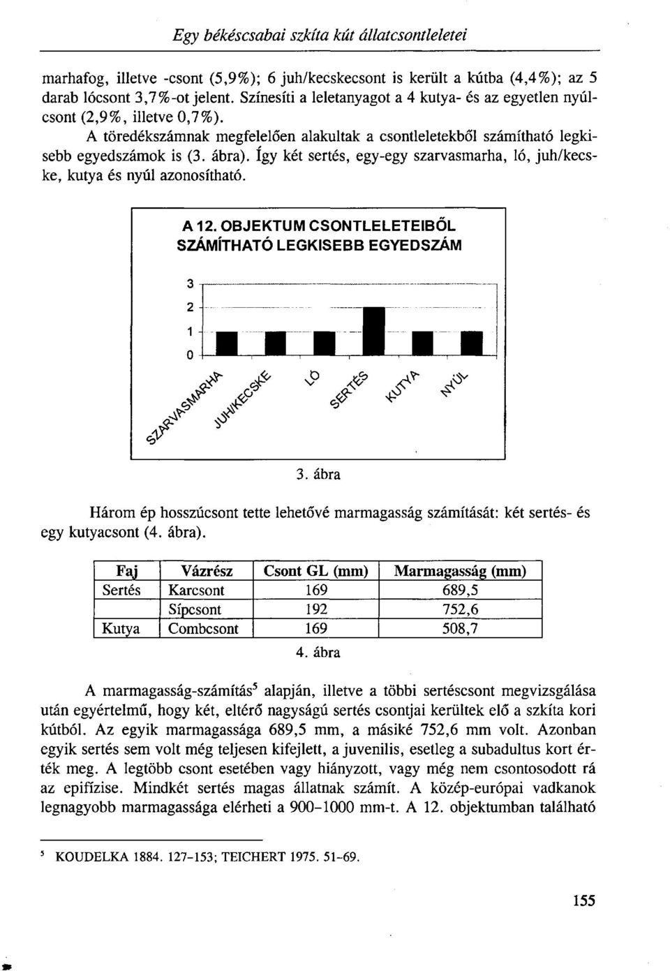 így két sertés, egy-egy szarvasmarha, ló, juh/kecske, kutya és nyúl azonosítható. 3. ábra Három ép hosszúcsont tette lehetővé marmagasság számítását: két sertés- és egy kutyacsont (4. ábra).