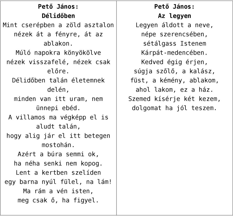 Azért a búra semmi ok, ha néha senki nem kopog. Lent a kertben szelíden egy barna nyúl fülel, na lám! Ma rám a vén isten, meg csak ő, ha figyel.