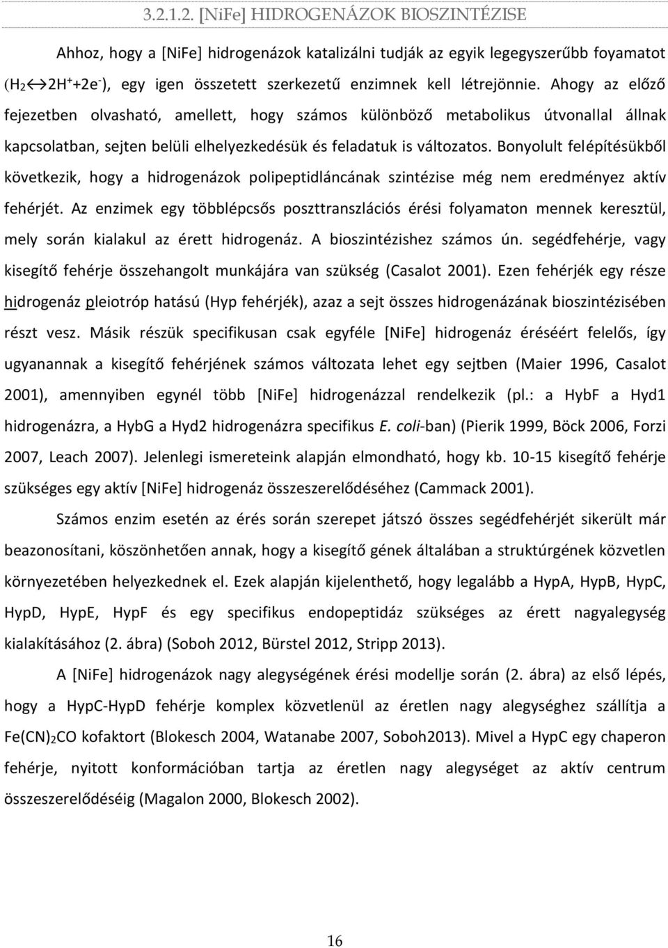 Bonyolult felépítésükből következik, hogy a hidrogenázok polipeptidláncának szintézise még nem eredményez aktív fehérjét.