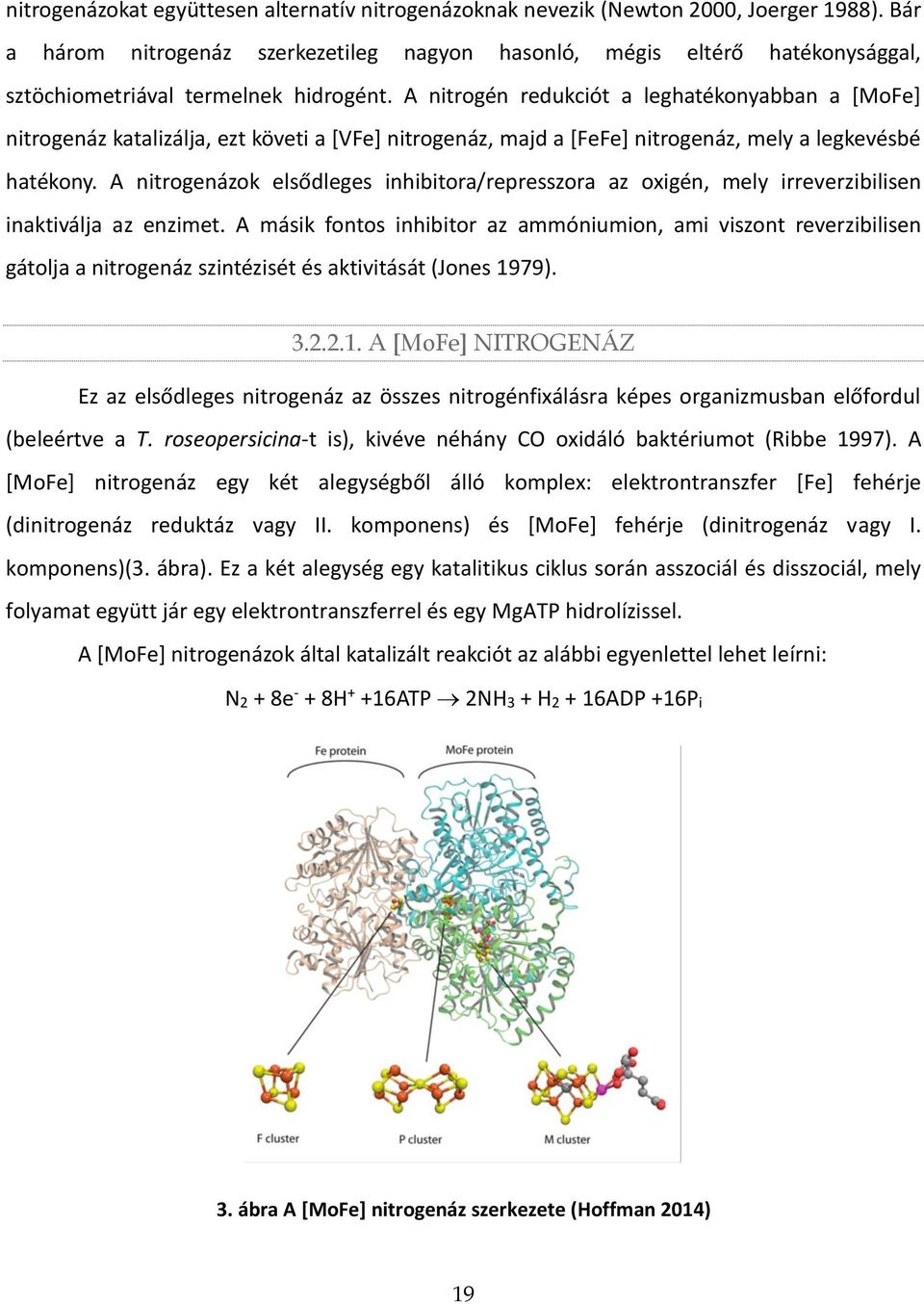 A nitrogén redukciót a leghatékonyabban a [MoFe] nitrogenáz katalizálja, ezt követi a [VFe] nitrogenáz, majd a [FeFe] nitrogenáz, mely a legkevésbé hatékony.