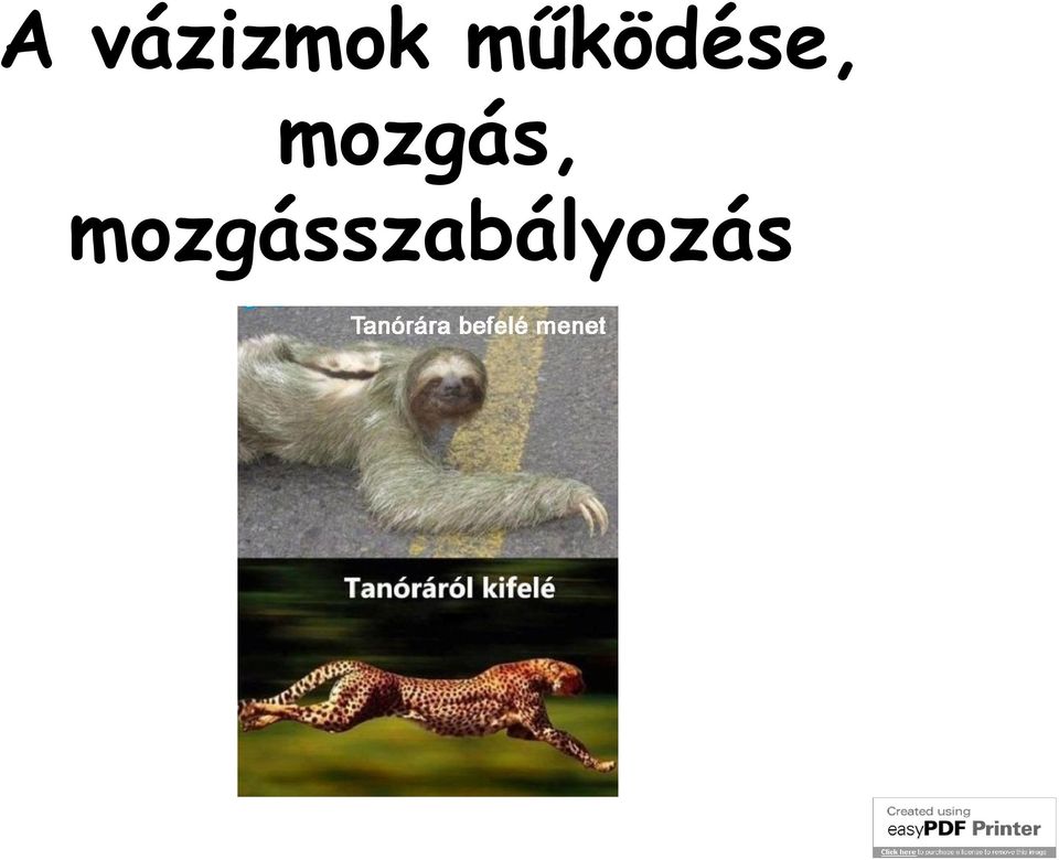 mozgás,