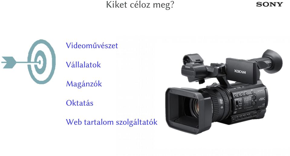 Vállalatok Magánzók